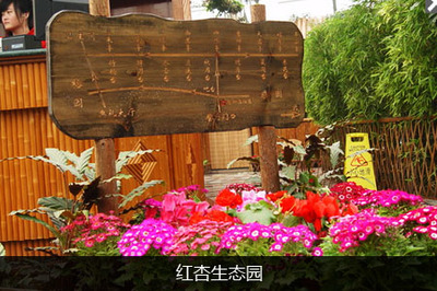 紅杏生態(tài)園 都市近郊的綠色田園夢