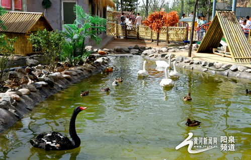 助力冬奧丨華北奕豐生態(tài)園戲雪樂園即將開園，生態(tài)旅游與冰雪運動完美融合