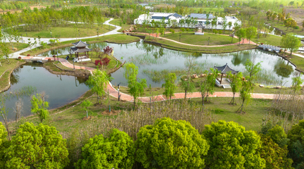 湖北襄陽 魚梁洲中央生態公園開園，市民盡享“城市綠肺”新生活